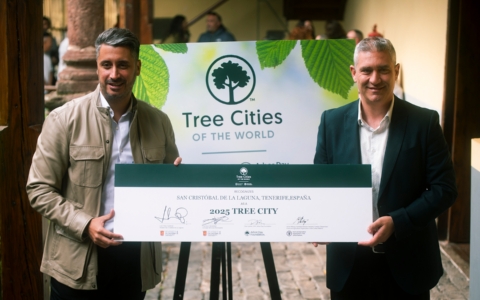 Foto de recurso premio Tree City