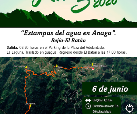 Cartel 1