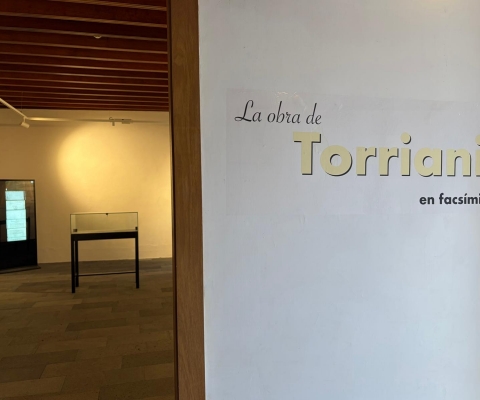 Exhibición_Torriani