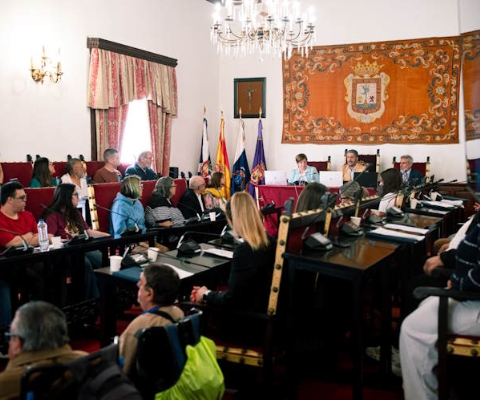 Pleno de la vida independiente 060526