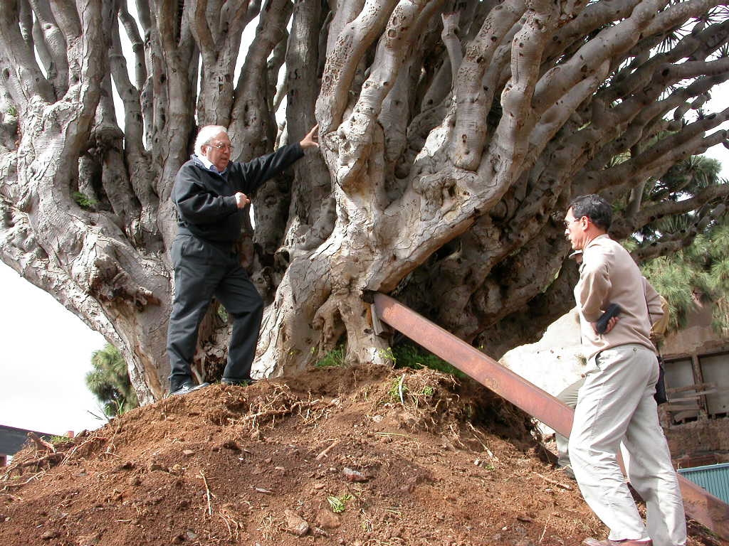Wildpret_Saavedra_9_marzo_2003