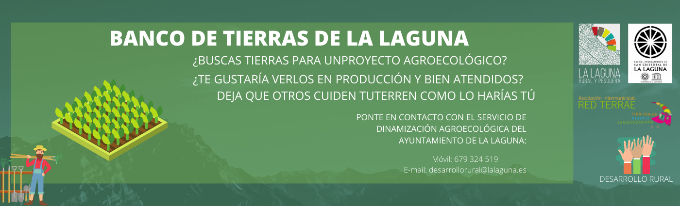 Banner horizontal banco tierras
