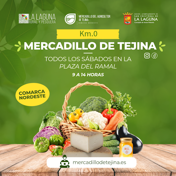 Mercadillo de Tejina2