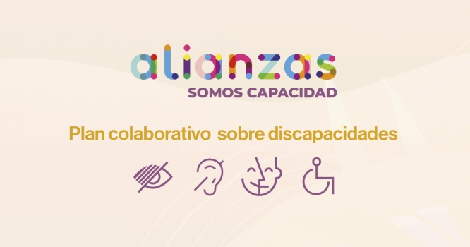 plan discapacidad