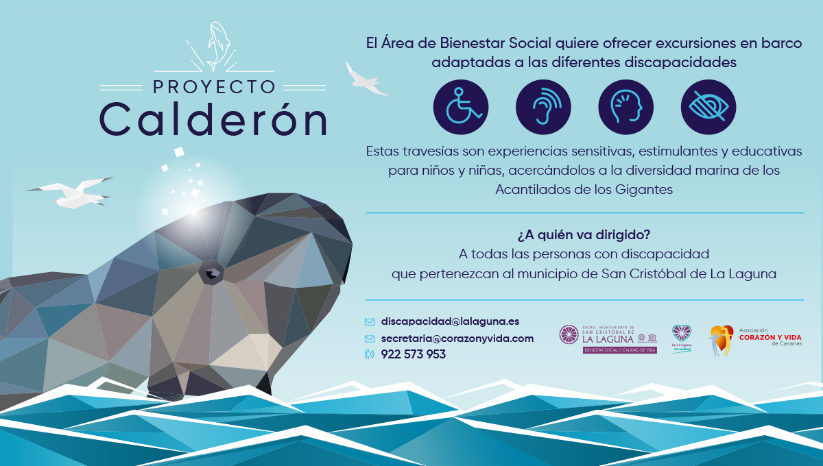 Proyecto Calderon