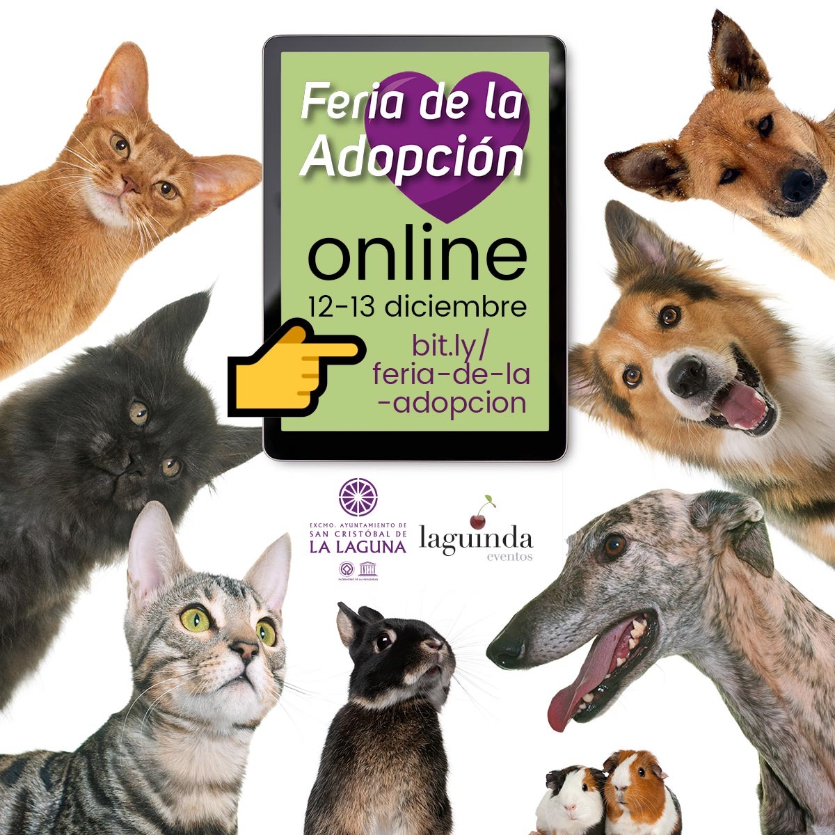 Cartel Feria animales online