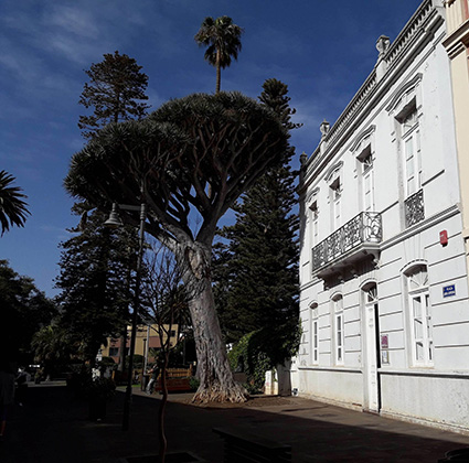 Sede de Muvisa