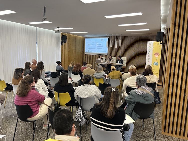 Consejo del Voluntariado_3